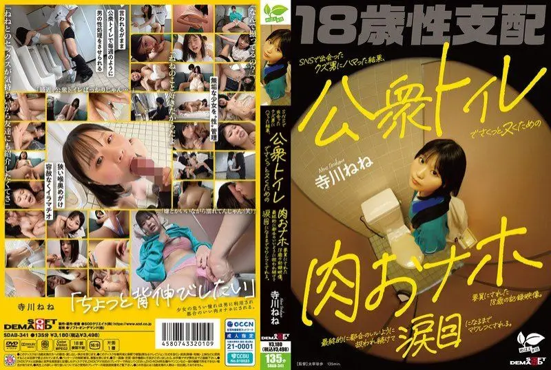 迷恋在社交网站上认识的渣男，最终成为他用来在公共厕所里轻松解决性需求的肉体工具的18岁记录影片 SDAB-341