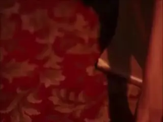 网飞的AV帝王