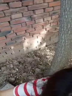 户外 妹子以口交自拍