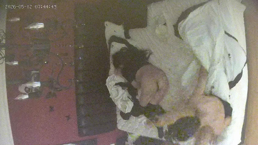 上帝视角 5-2 小情侣就是精力好 几个小时内干了两炮 之后小美女又给男生口硬了 男生为了打游戏没再干