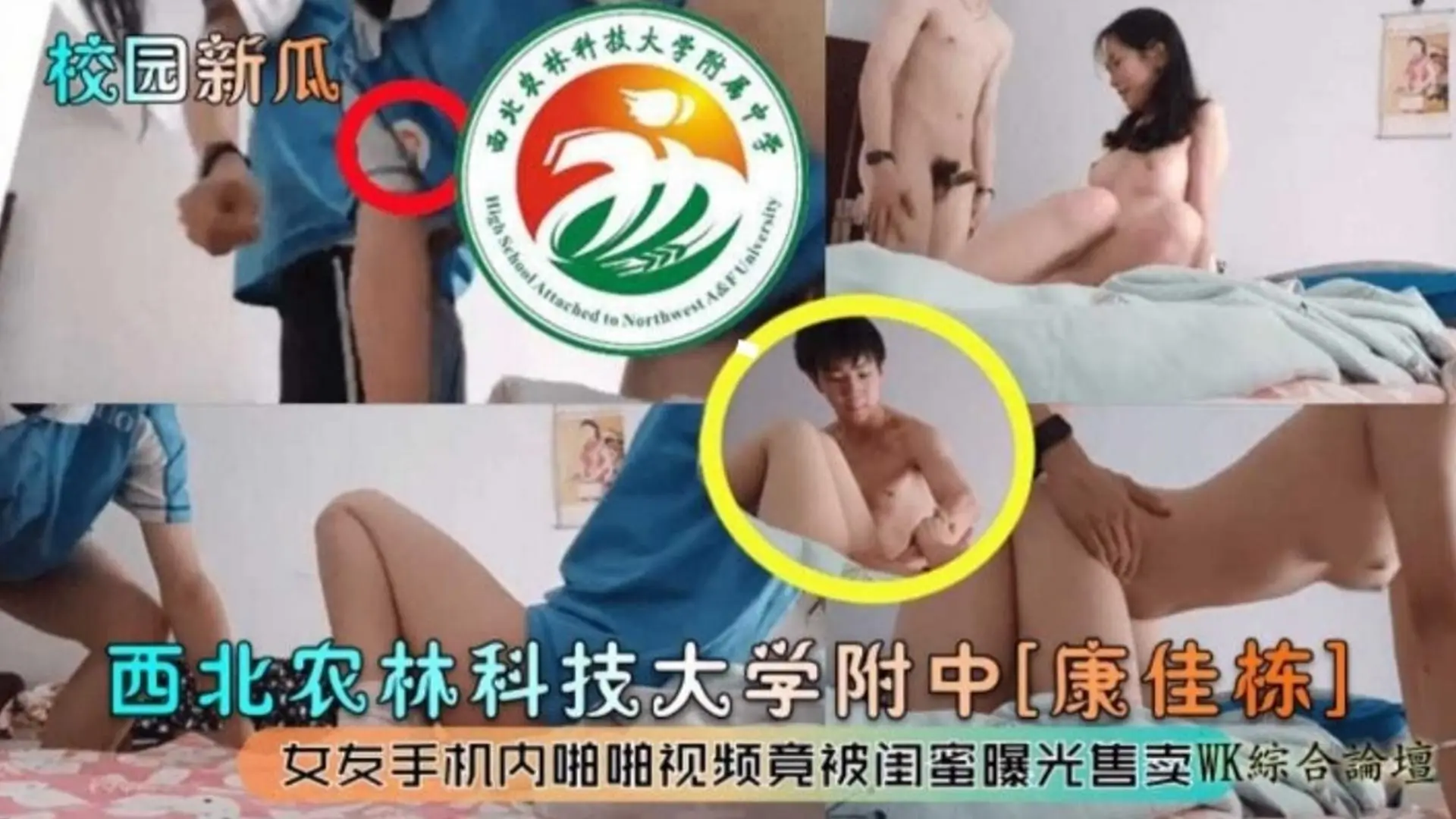 【炸裂校园大瓜】西北科技大学附中，女友的手机内啪啪视频竟然被闺蜜曝光售卖