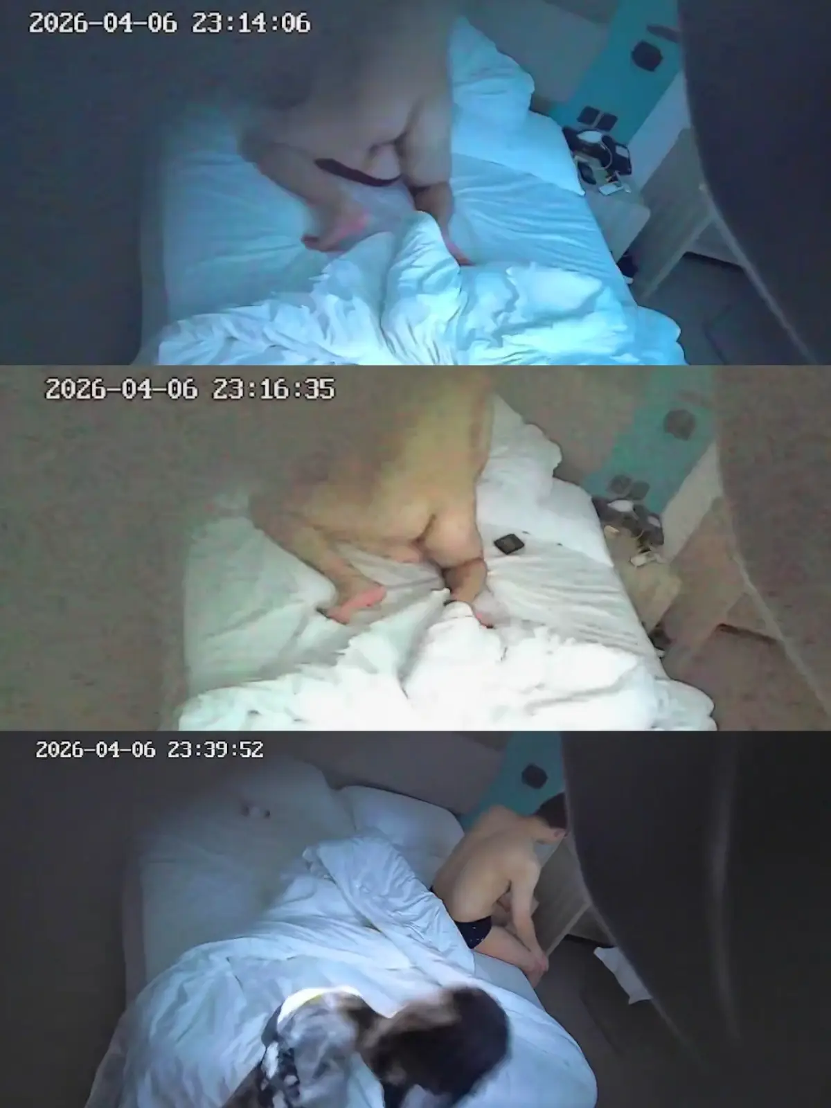 4-6极品小情侣 晚上9点开房 啪啪 男友还在观察女友小鲍鱼 手指扣扣