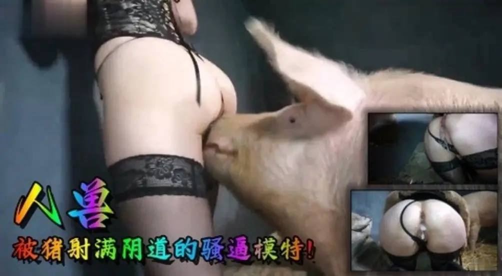 【高清人兽】被猪射满阴道的骚逼模特！