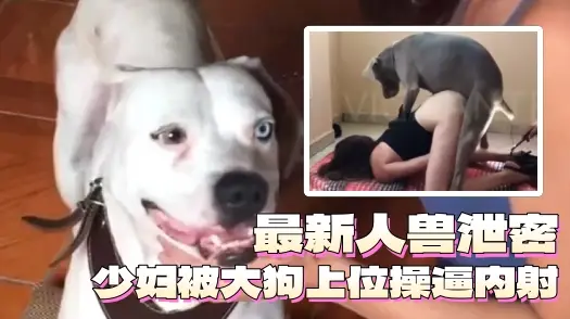 重口人兽来袭-少妇被大狗上位操逼内射狗精液