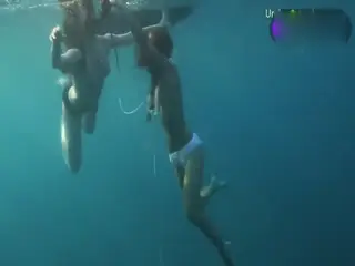 深海双花裸泳展优美身姿