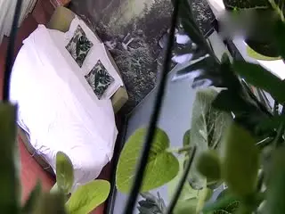 新手司机酒店早早交枪了