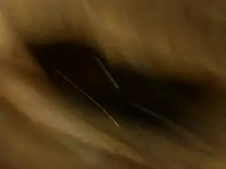 酒店大战性感良家少妇露脸