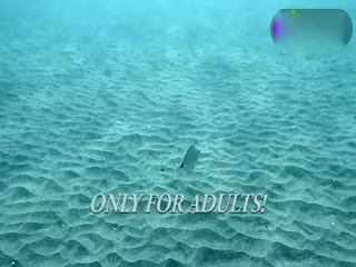 性感小萝莉们穿透视装潜水裸泳