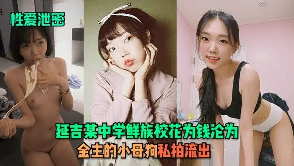 性爱泄密延吉某中学鲜族校花为钱沦为.金主的小母狗私拍流出