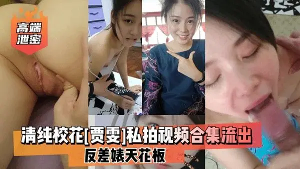高端泄密清纯校花贾雯私拍视频合集流出反差婊天花板