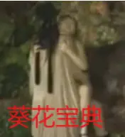 葵花宝典