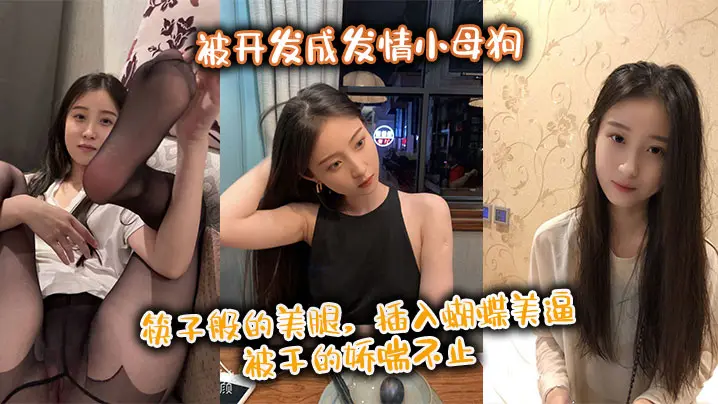 极品身材尤物御姐被开发成发情小母狗 筷子般的美腿，插入蝴蝶美逼 被干的娇喘不止