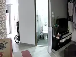 家庭摄像头破解家庭生活过程
