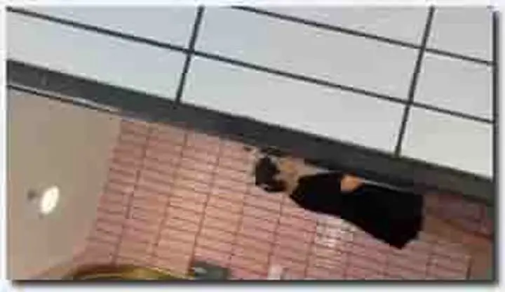 商场女厕偷拍漂亮美女 会呼吸的美鲍