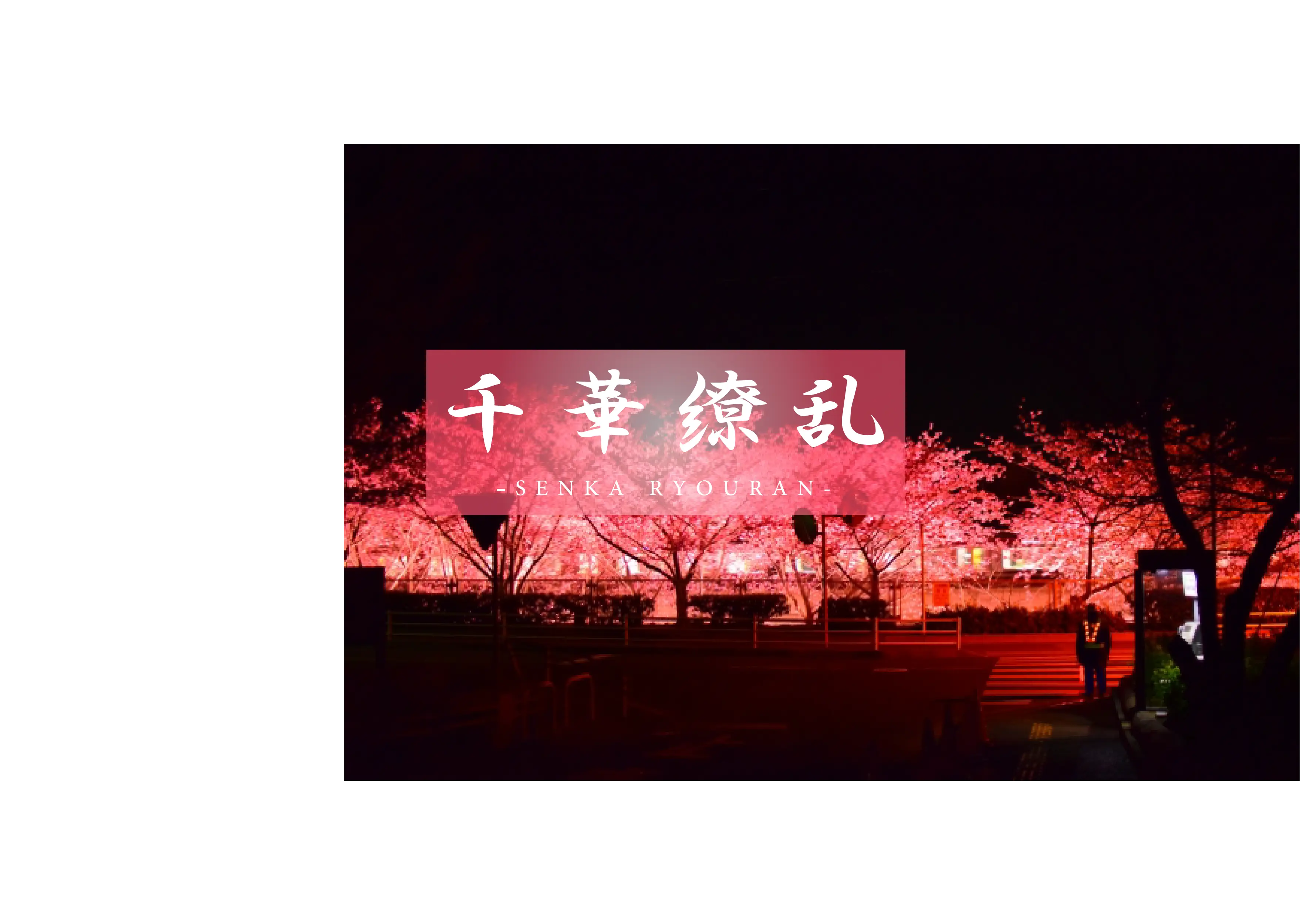 【传说中的美女再次. . ii】澄み渡る空气和最高的美女再次。请看令人震惊的3p。樱18岁-cd1