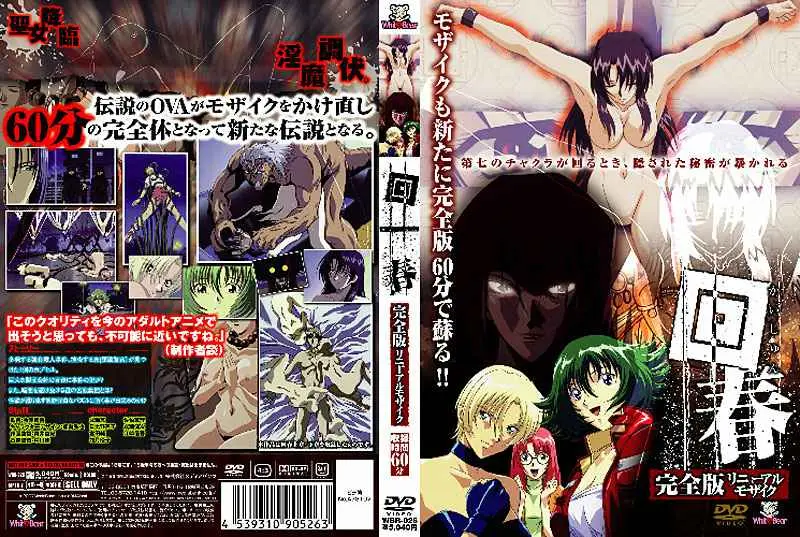 WBR-00026 回春 完全版 リニューアルモザイク 下