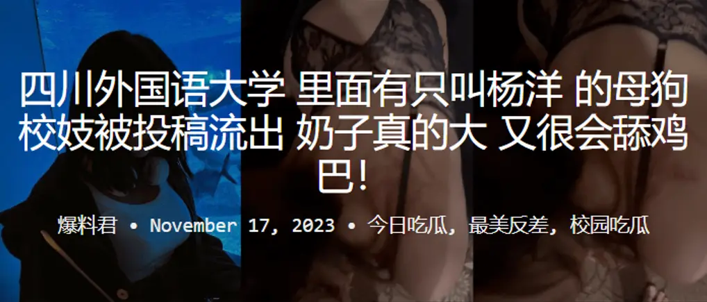 四川外国语大学校妓杨洋巨乳母狗舔屌流出口爆内射