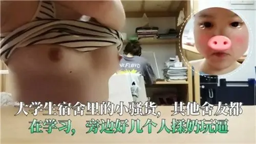 宿舍学习时的小骚货：旁若无人被多人揉奶玩逼的淫荡场景