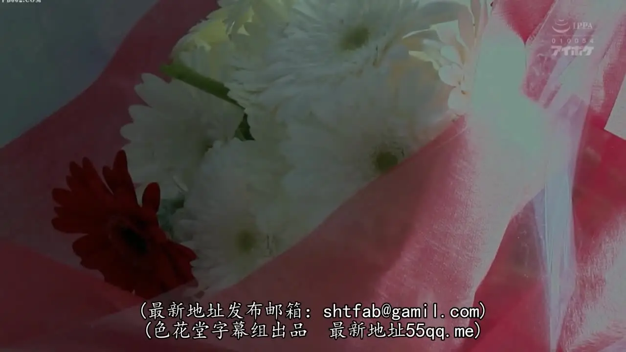中文字幕 医院里的女神小姐姐很孝顺，嫩嫩肉肉活力肆意，心动挡不住搞到手抽插起伏纯纯从心底满足IPX149【水印】 new