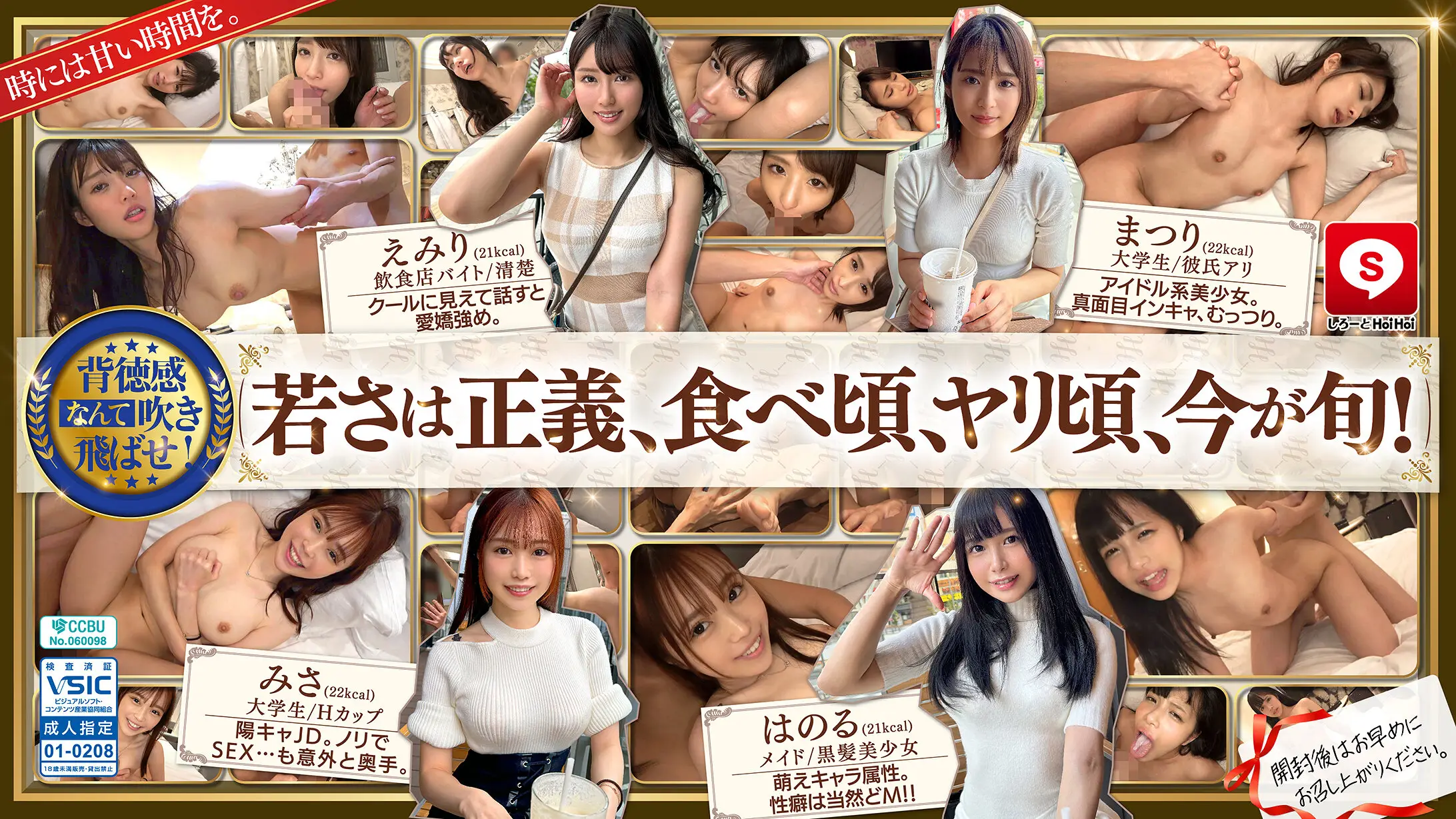 HOIZ162 诱人小可爱#14素人Z计划：交友软件约炮实录·情趣酒店一夜情私密拍摄！