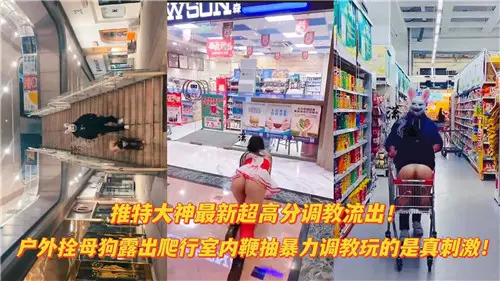 推特大神最新流出：户外母狗调教全记录 室内鞭打强制爬行 超高分调教实录