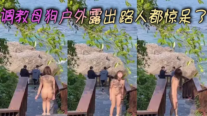 调教母狗户外露出 路人都惊呆了