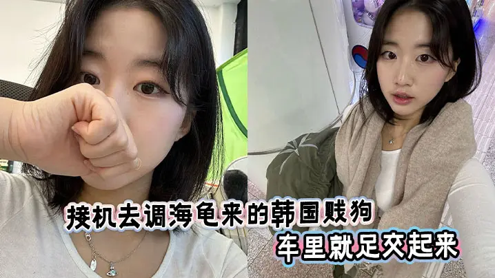 接机去调海龟来的韩国贱狗车里就足交起来