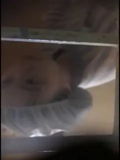 偷窥妹子洗澡晚上睡不着浴室窗外近距离偷窥房东漂亮女儿洗澡刮腋毛掰开双腿洗逼逼让人浑身欲火