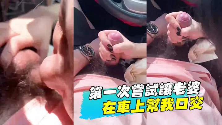 第一.次尝试.让老.婆在车上帮.我口交