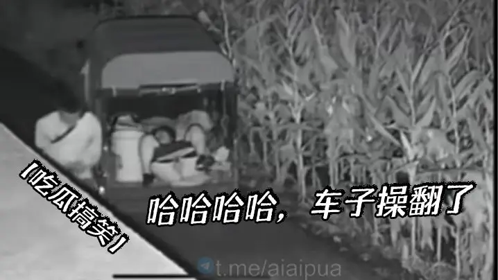 【吃瓜搞笑】哈哈哈哈，车子操翻了