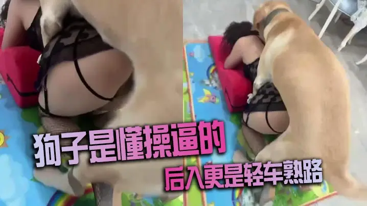 狗子是懂操逼的,后入更是轻车熟路