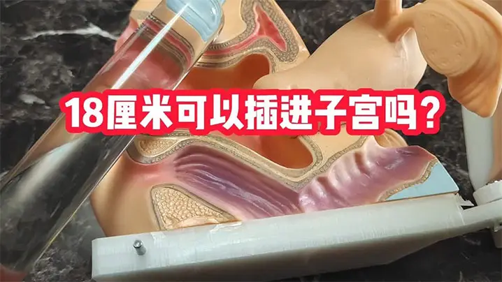 【猎奇】科普18cm可以插进子宫吗？
