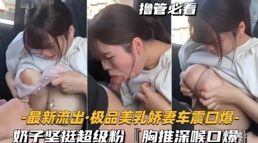 最新流出·极品美乳娇妻车震口爆