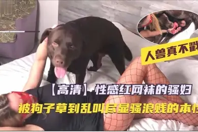 高清两个女人太饥渴抓住马吊一顿舔