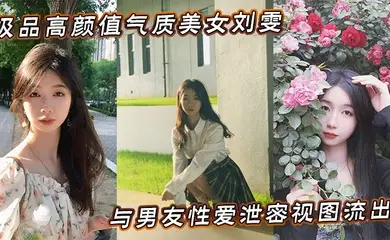 极品高颜值气质美女刘雯与男友性爱泄密视图流出