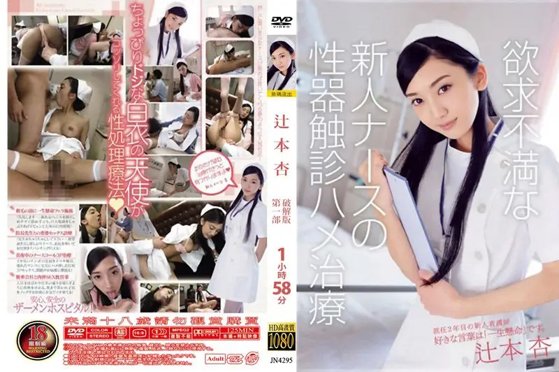 马赛克破坏版 辻本杏 JN4295