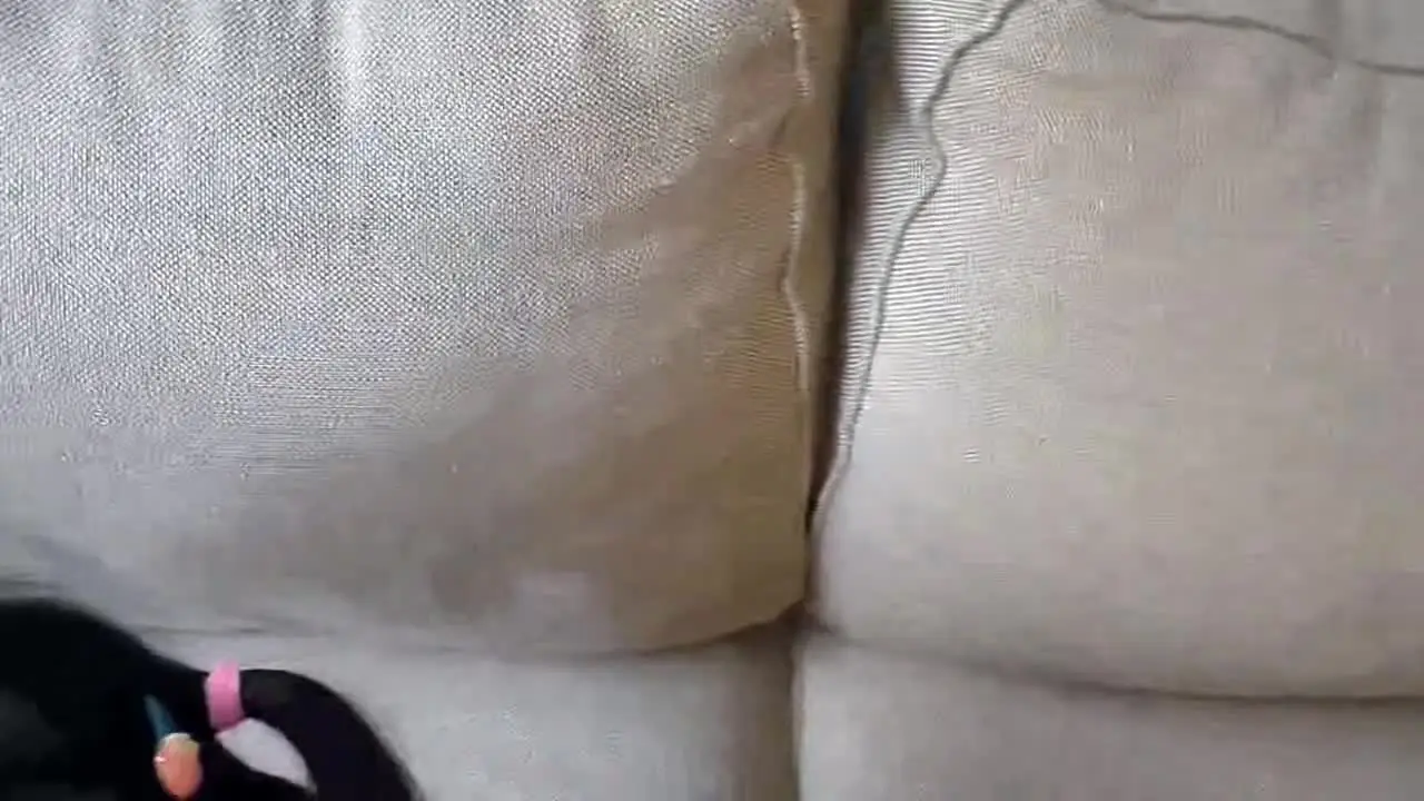 开放淫荡学妹与洋教性爱记，洛麗塔装游玩后吃肉棒。