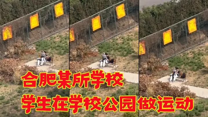 合肥某所学校学生在学校的公园做运动春天来了