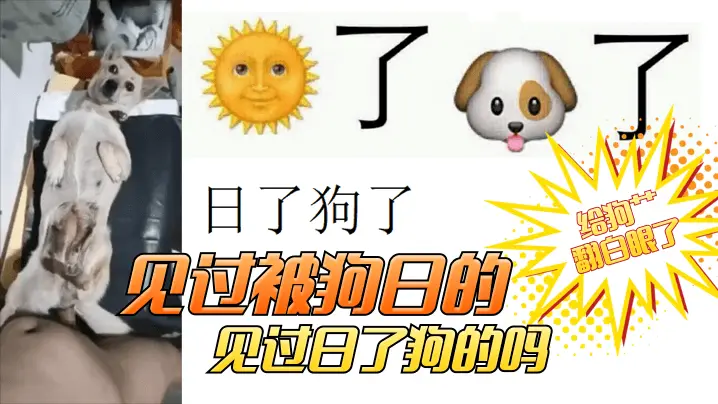 【卧槽,给狗艹翻白眼了】见过被狗日的!见过日了狗的吗?