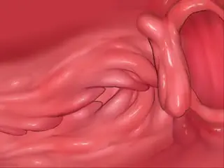 3D动漫,很有感觉的哦