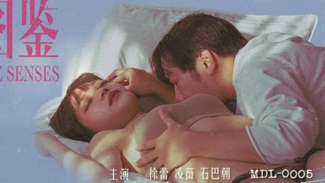 MDL-0005女子图鉴-徐蕾 凌薇