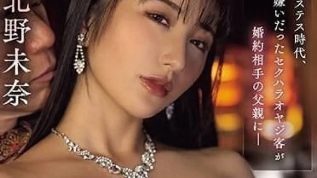 HMN-545 女主人时代-北野未奈