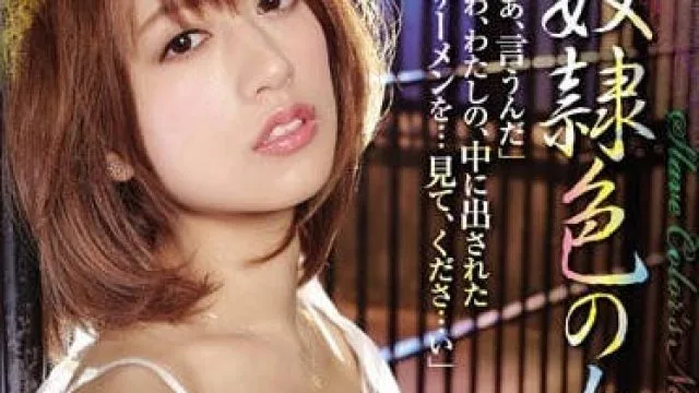 RBD-850 被抓住沦为奴隶的女记者希岛爱理