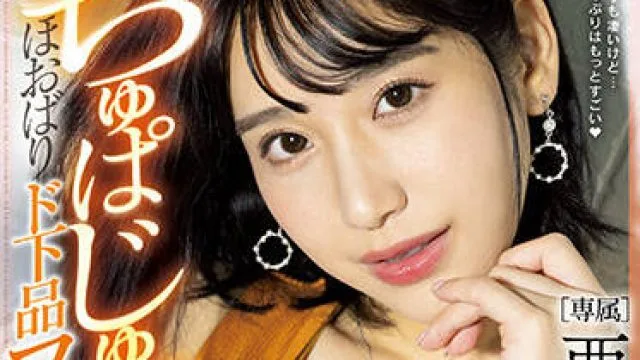 PRED-452 本地播音员-西野絵美