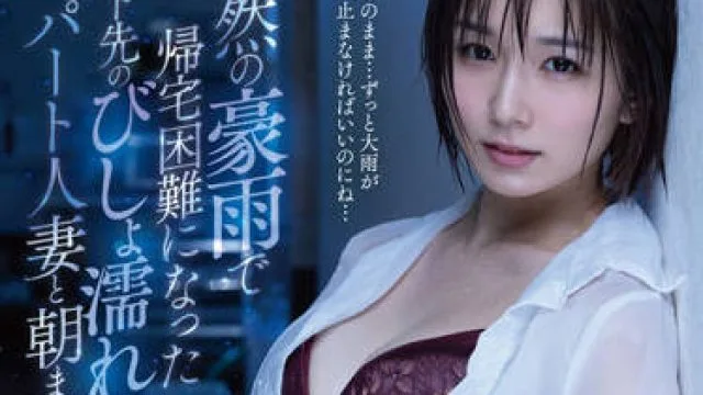 DLDSS-156 突如其来的大雨-穂高結花