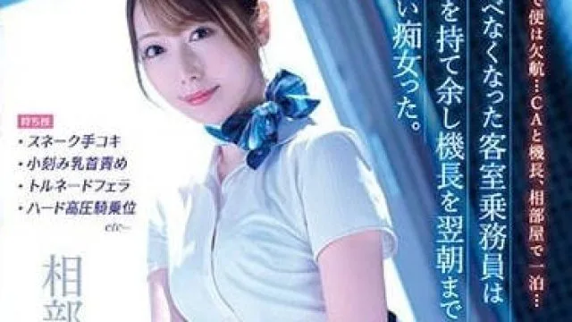 MIDV-289 停班空乘与机长同房 - 西宫梦