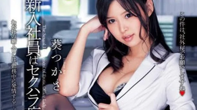 dv-1622 新入职的黑丝痴女OL社员-葵つかさ