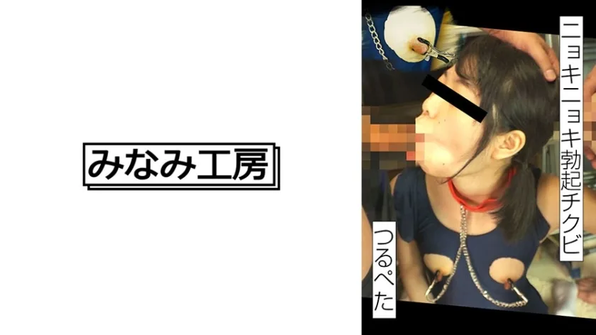MERC-402 双击小乳房和勃起的乳头怎么样？