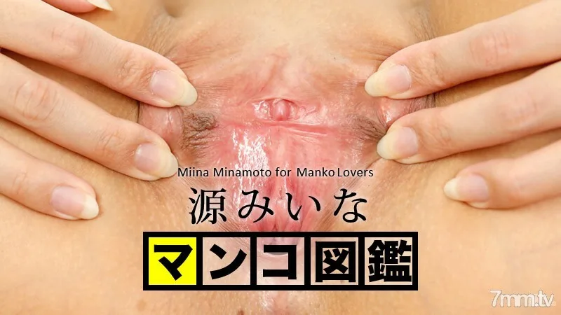 102015-001 猫图画书 Minamoto Miina Minamoto
